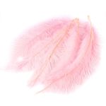 Natural decoration Ostrich feathers PIPPIN, 5 pieces, pale pink, 22"-28"/55-70cm