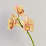 Artificial Cymbidium orchid spray SERAPHINA, yellow-light pink, 18"/45cm