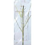 Artificial bamboo branch HARUTO, 3ft/105cm