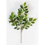 Artificial Ficus foliage spray AJITH, green-white, 18"/45cm
