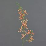 Artificial branch Cattleya orchid TRASSA, orange-yellow, 31"/80cm