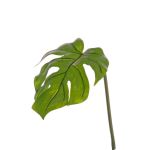 Artificial Philodendron Monstera Deliciosa leaf LANDER, 22"/55cm