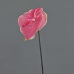 Fake flamingo flower MOIRA, pink-light pink, 30"/75cm, 5.1"x8"/13x20cm
