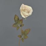 Artificial rose NAJMA, cream, 26"/65cm, Ø4.3"/11cm