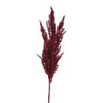 Artificial branch pampas grass panicle THEMBA, burgundy, 31"/80cm