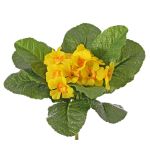 Fake primrose SUNDARA on spike, yellow, 8"/20cm, Ø1.6"/4cm