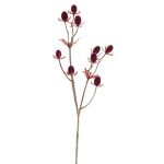 Fake thistle spray (Eryngium) LOUKAS, burgundy red, 18"/45cm, Ø0.6"/1,5cm