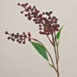 Artificial elderberries branch TEITH with fruits, burgundy, 16"/40cm