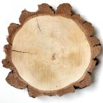 Birch wooden disc MORGANIE, natural, Ø13"-19"/34-47cm