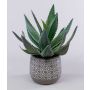 Decorative agave americana HEDI in terracotta pot, green, 14"/35cm