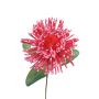 Plastic foam pincushion protea ISLARTINA, red-fuchsia, 30"/75cm