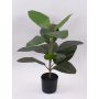 Decorative rubber tree FRODELINDE, artificial trunk, green, 24"/60cm