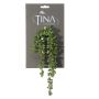 Artificial succulent Senecio NELLAS, spike, green, 14"/35cm