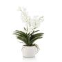 Artificial Vanda orchid PAVRA in ceramic pot, roots, white-cream, 24"/60cm
