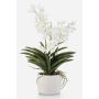 Artificial Vanda orchid PAVRA in ceramic pot, roots, white-cream, 24"/60cm