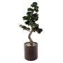 Plastic Bonsai Pine DOMENICO, weatherproof, green, 6ft/170cm
