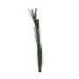Plastic reed grass DIVO with spadices, spike, dark green, 5ft/150cm