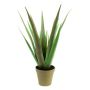 Plastic aloe LUCIO, in decorative pot, green, 22"/55cm, Ø10"/25cm