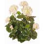 Artificial geranium MIA on spike, cream, 14"/35cm, Ø2.4"-3.5"/6-9cm