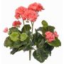 Artificial geranium MIA on spike, pink, 14"/35cm, Ø2.4"-3.5"/6-9cm