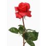 Fake rose AMELIE, red, 28"/70cm, Ø3.1"/8cm
