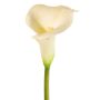 Artificial Calla Lily MIRAC, cream, 75 cm, 12 x 15 cm