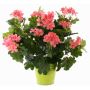 Artificial geranium MIA on spike, pink, 16"/40cm, Ø2"-3.1"/5-8cm