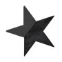 OASIS® Black Ideal Wet floral foam Star, Bioline wooden base, black, 12"x11"x1.8"/30x29x4,5cm