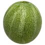 Decorative fruit Cantaloupe ZASTO, green, Ø6"/15cm