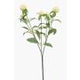 Artificial DREWON ball amaranth branch, cream, 65cm, Ø2-3cm