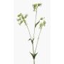 Artificial PRANVERA Sticky Clover Branch with Flowers, white-green, 80 cm