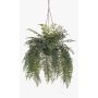 Decorative sword fern and lady’s hair fern hanging basket MAXROL, ‘ ’ root ball, roots, hanging, green, 85cm