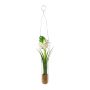 Artificial hyacinth arrangement FRUKE in hanging vase, cream, 14"/35cm