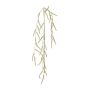 Decorative bristlegrass branch BRULIN with panicles, hanging, green, 4ft/125cm