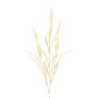 Decorative branch Wood small-reed BUTINA with panicles, beige, 33"/85cm