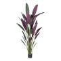 Artificial plant: Heliconia SNALHE, green-burgundy, 7ft/210cm