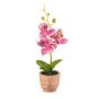 Plastic Phalaenopsis orchid LEONISA in terracotta pot, pink, 8"/20cm