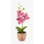 Plastic Phalaenopsis orchid LEONISA in terracotta pot, pink, 8"/20cm