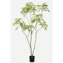 Artificial tree Mahonia KLEANA, artificial stems, green, 7ft/210cm