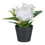 Artificial flower Rose BRALDER in decorative pot, white, 5.5"/14cm