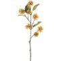 Decorative branch Globe amaranth TIETE, cinnamon, 30"/75cm