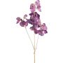 Decorative branch Lathyrus latifolius SLIRKEN, dark purple, 30"/75cm