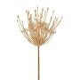 Decorative ornamental leek MElJA, gold, 31"/80cm