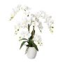 Artificial Phalaenopsis orchid LUKREN in ceramic pot, roots, white, 26"/65cm