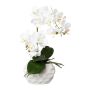 Artificial Phalaenopsis orchid GINERT, ceramic pot, roots, white, 14"/35cm
