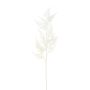 Artificial branch Asparagus Plumosus VORLON, cream, 33"/85cm