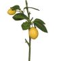 Artificial lemon branch ADELAIDA with fruit, yellow, 14"/35cm