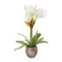 Artificial flower arrangement: Amaryllis OMELRA with fern, cement pot, white, 14"/35cm