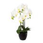 Artificial Phalaenopsis orchid UKERNA in resin planter, white, 22"/55cm