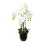 Artificial Phalaenopsis orchid UKERNA in resin planter, white, 28"/70cm